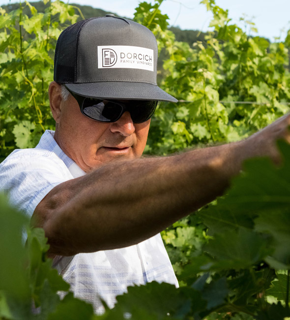 Stephen N Dorcich - winegrower - DFV