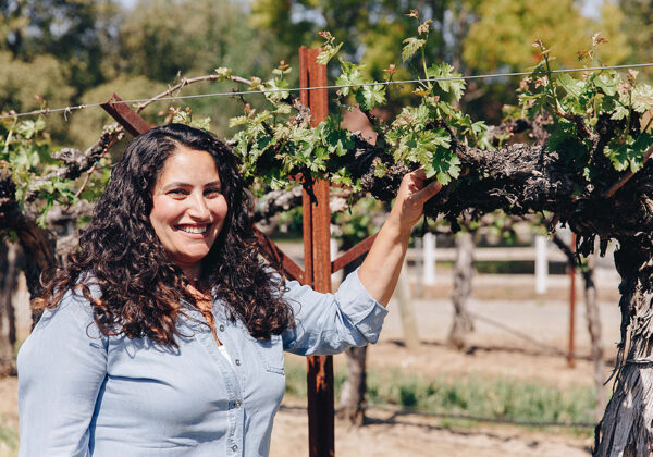Terah Bajjealieh inspecting grapes on the vine - Dorcich Family Vineyards